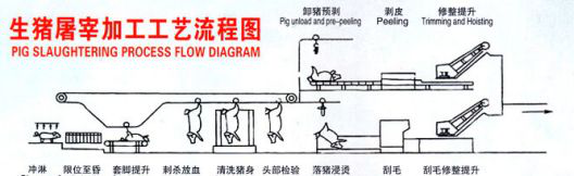 高温热泵屠宰运用