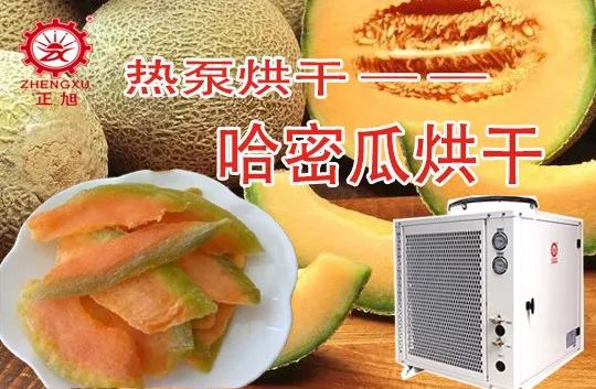 丝瓜视频看污污哈密瓜热泵烘干