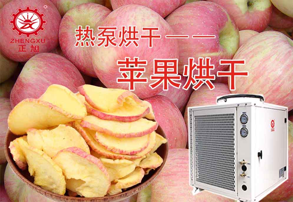 空气能苹果热泵烘干机