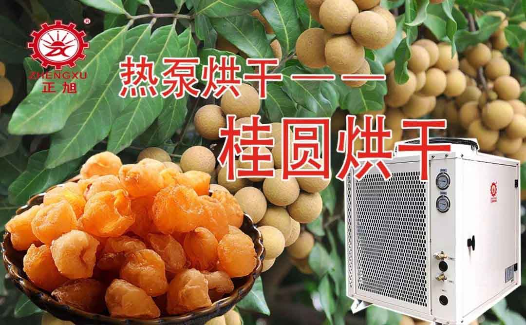 桂圆热泵烘干工艺