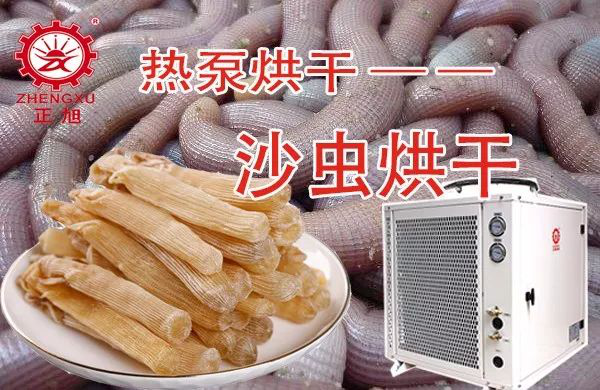 沙虫热泵烘干