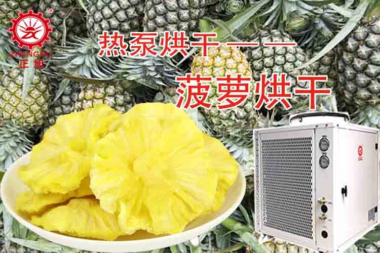 正旭菠萝热泵烘干效果图组