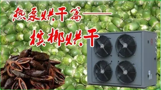 揭开槟榔烘干的面纱
