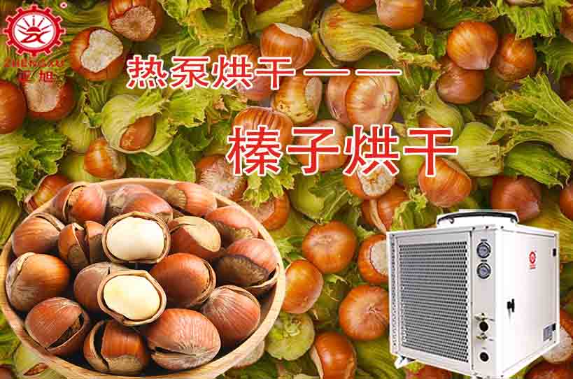 正旭榛子烘干工艺及烘干设备