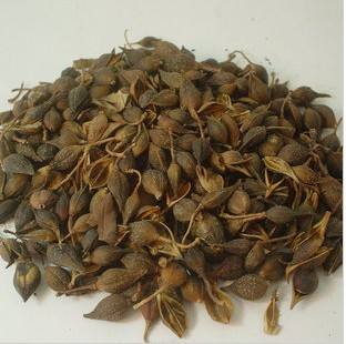 连翘热泵烘干工艺揭秘,烘干厂家「工艺分享」 连翘热泵烘干工艺揭秘,烘干厂家「工艺分享」