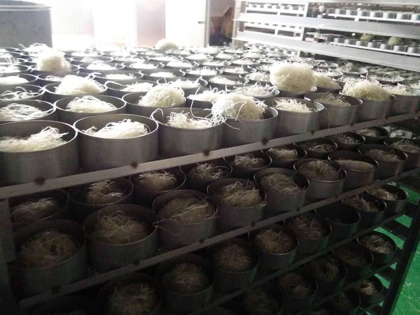 安徽统旺食品有限公司米线烘干项目